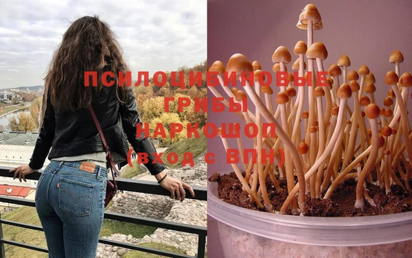 прущий лед Магадан
