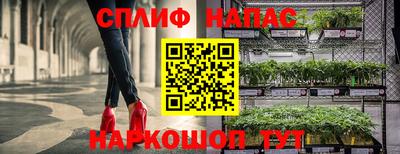 a pvp Апшеронск