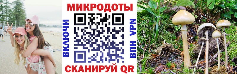 хочу наркоту  Можга  Галлюциногенные грибы мухоморы 
