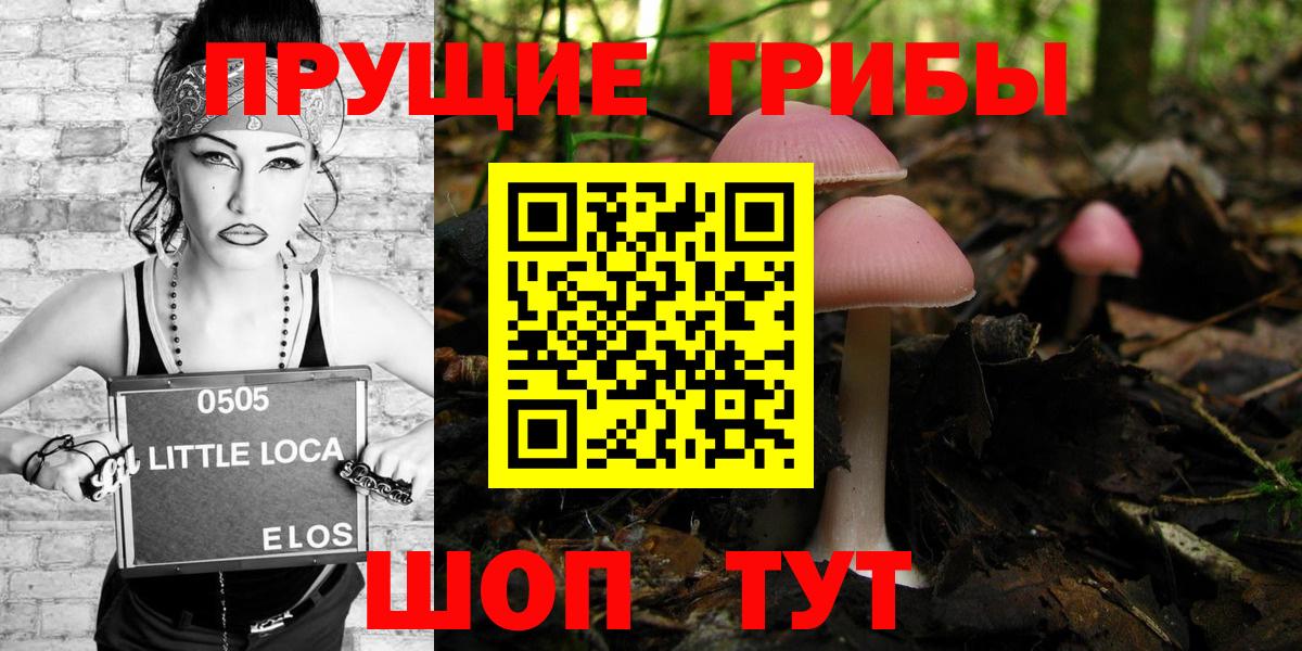 Галлюциногенные грибы MAGIC MUSHROOMS  Можга 