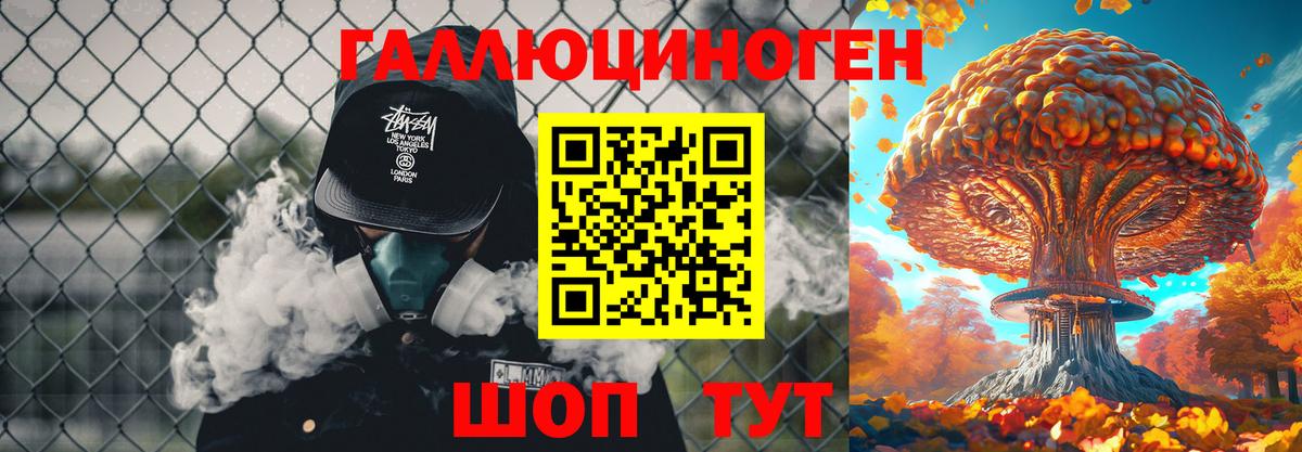 Псилоцибиновые грибы Cubensis Можга