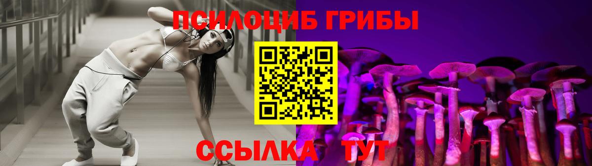 Псилоцибиновые грибы GOLDEN TEACHER Можга