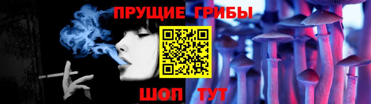 Галлюциногенные грибы GOLDEN TEACHER  Галлюциногенные грибы прущие грибы  Можга  Вход с VPN 